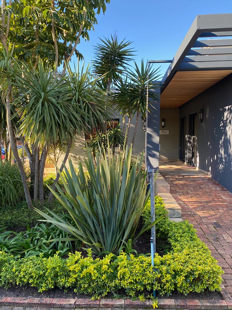 garden-maintenance-resized